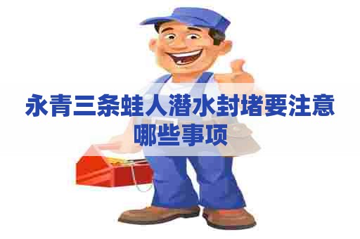 永青三条蛙人潜水封堵要注意哪些事项