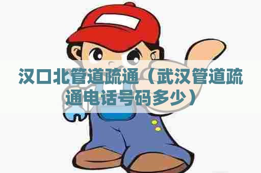 汉口北管道疏通（武汉管道疏通电话号码多少）