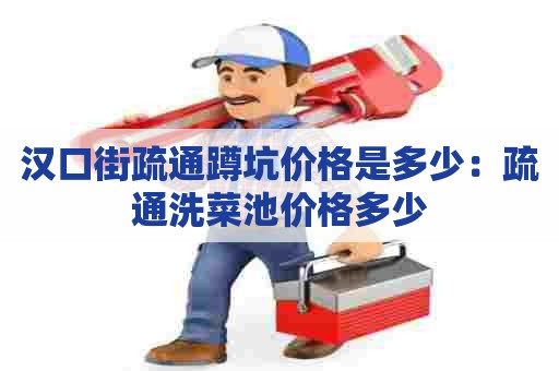 汉口街疏通蹲坑价格是多少：疏通洗菜池价格多少