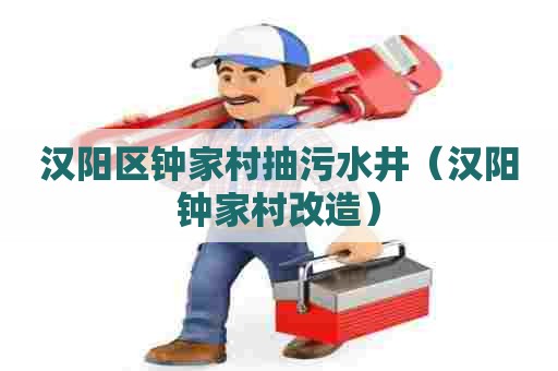 汉阳区钟家村抽污水井（汉阳钟家村改造）