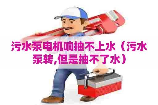 污水泵电机响抽不上水（污水泵转,但是抽不了水）