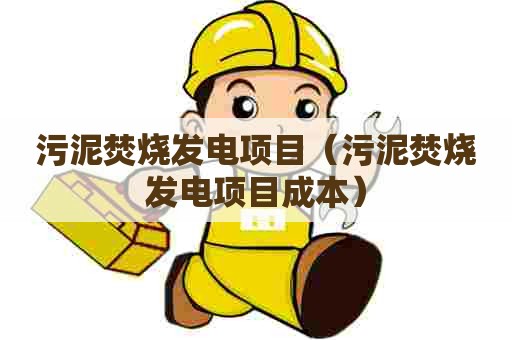 污泥焚烧发电项目（污泥焚烧发电项目成本）