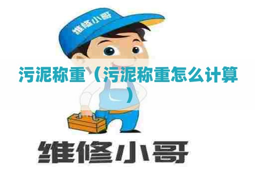 污泥称重(污泥称重怎么计算) 污泥称重(污泥称重怎么计算)