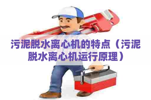 污泥脱水离心机的特点（污泥脱水离心机运行原理）