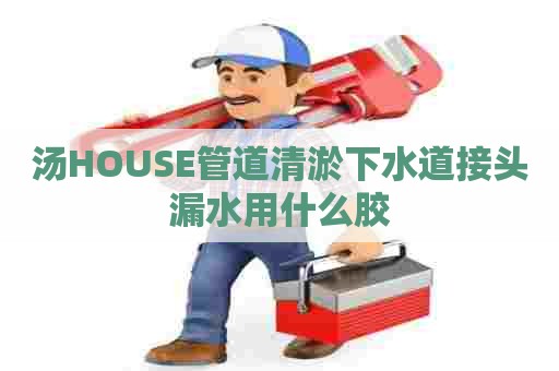 汤HOUSE管道清淤下水道接头漏水用什么胶