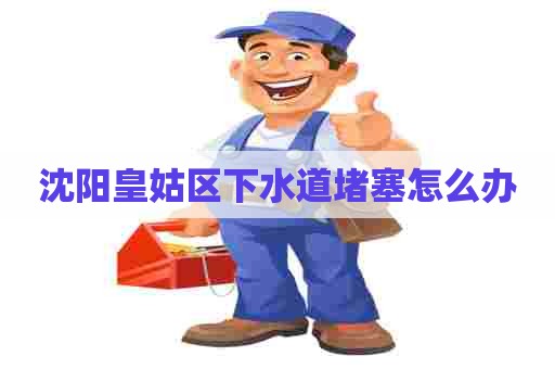 沈阳皇姑区下水道堵塞怎么办