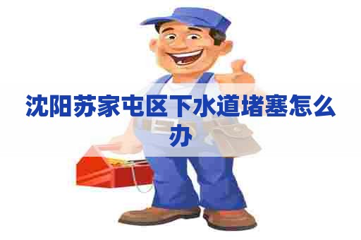 沈阳苏家屯区下水道堵塞怎么办