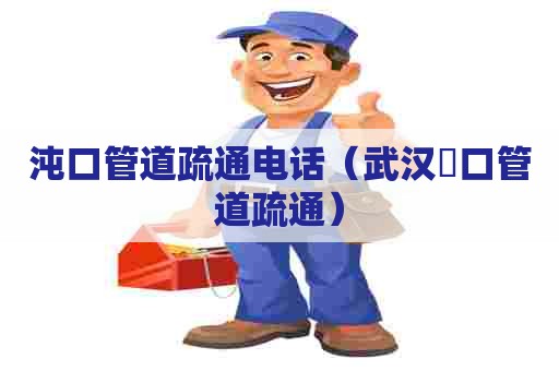 沌口管道疏通电话（武汉硚口管道疏通）