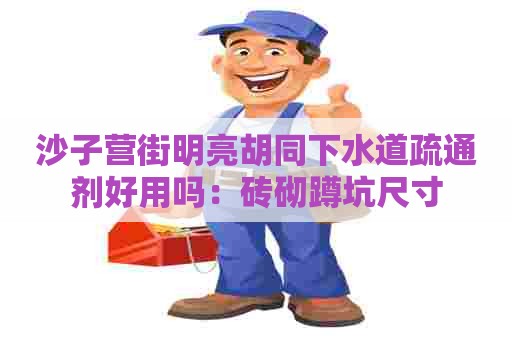 沙子营街明亮胡同下水道疏通剂好用吗：砖砌蹲坑尺寸