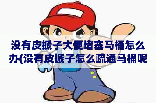 没有皮搋子大便堵塞马桶怎么办(没有皮搋子怎么疏通马桶呢)