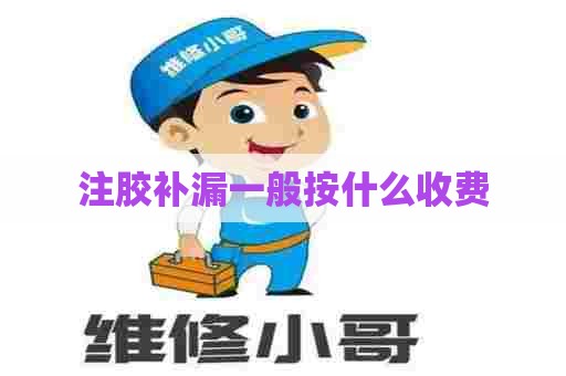 注胶补漏一般按什么收费