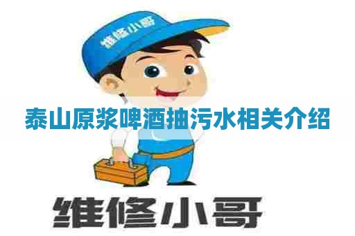 泰山原浆啤酒抽污水相关介绍