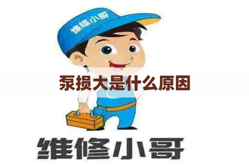 泵损大是什么原因