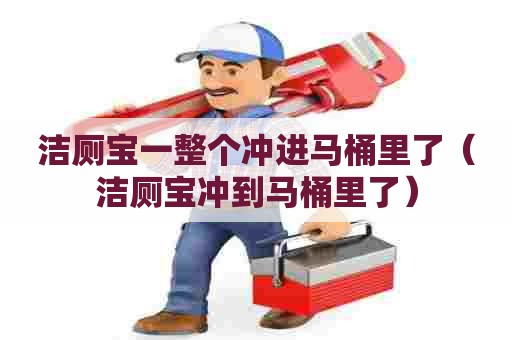 洁厕宝一整个冲进马桶里了（洁厕宝冲到马桶里了）