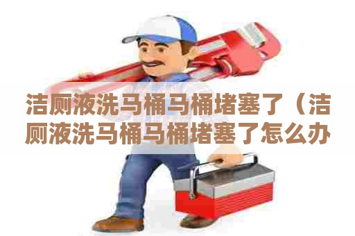 洁厕液洗马桶马桶堵塞了（洁厕液洗马桶马桶堵塞了怎么办）