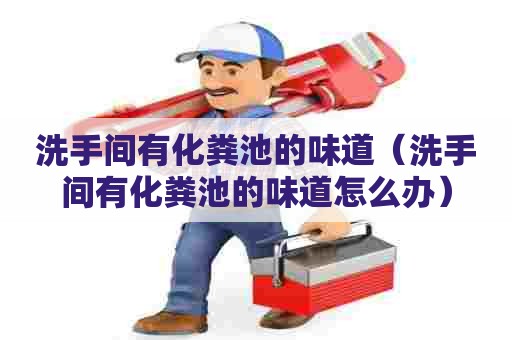 洗手间有化粪池的味道（洗手间有化粪池的味道怎么办）