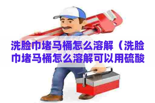 洗脸巾堵马桶怎么溶解(洗脸巾堵马桶怎么溶解可以用硫酸吗) 洗脸巾堵马桶怎么溶解(洗脸巾堵马桶怎么溶解可以用硫酸吗)