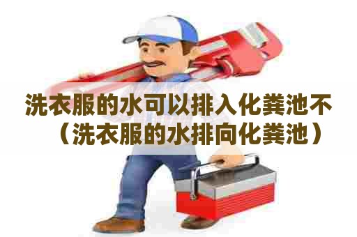 洗衣服的水可以排入化粪池不（洗衣服的水排向化粪池）