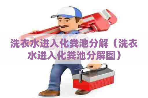 洗衣水进入化粪池分解（洗衣水进入化粪池分解图）