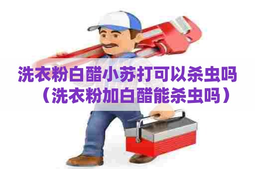 洗衣粉白醋小苏打可以杀虫吗(洗衣粉加白醋能杀虫吗) 洗衣粉白醋小苏打可以杀虫吗(洗衣粉加白醋能杀虫吗)