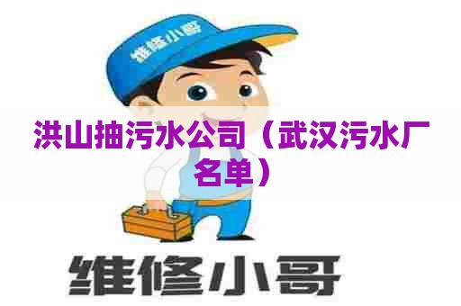 洪山抽污水公司（武汉污水厂名单）