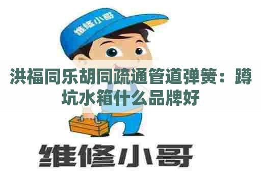 洪福同乐胡同疏通管道弹簧:蹲坑水箱什么品牌好 洪福同乐胡同疏通管道弹簧:蹲坑水箱什么品牌好