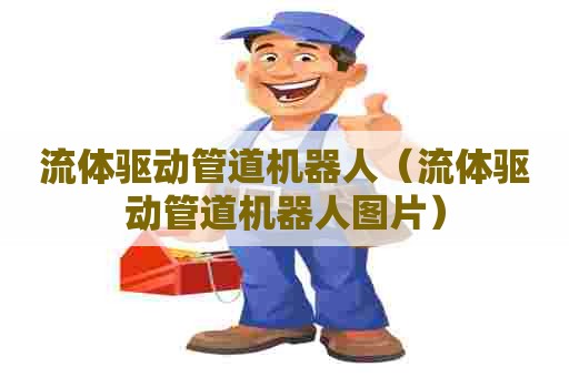 流体驱动管道机器人（流体驱动管道机器人图片）