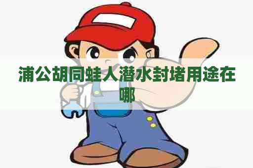 浦公胡同蛙人潜水封堵用途在哪