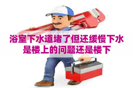 浴室下水道堵了但还缓慢下水是楼上的问题还是楼下