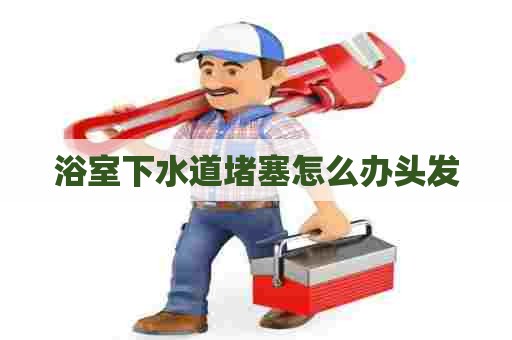 浴室下水道堵塞怎么办头发