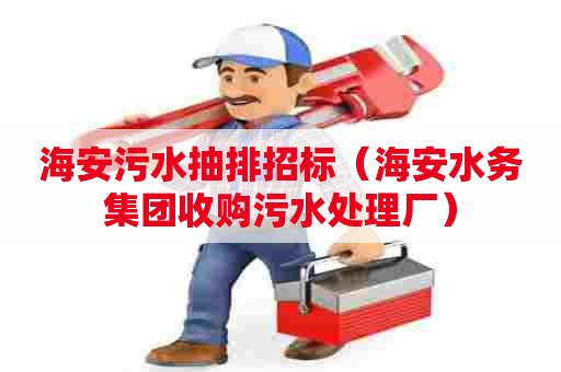 海安污水抽排招标（海安水务集团收购污水处理厂）