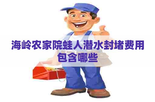 海岭农家院蛙人潜水封堵费用包含哪些