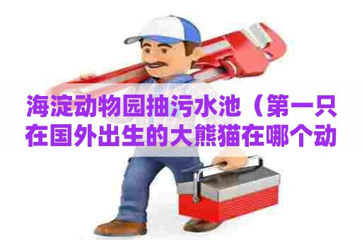 海淀动物园抽污水池（第一只在国外出生的大熊猫在哪个动物园）