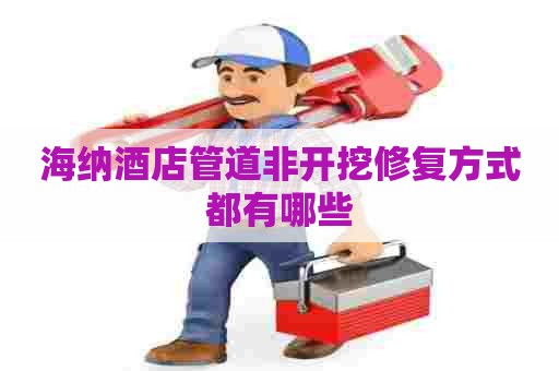 海纳酒店管道非开挖修复方式都有哪些
