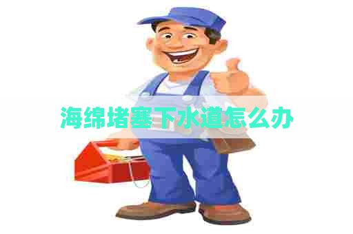 海绵堵塞下水道怎么办