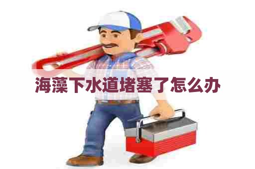 海藻下水道堵塞了怎么办