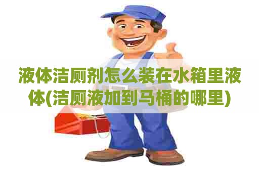 液体洁厕剂怎么装在水箱里液体(洁厕液加到马桶的哪里)