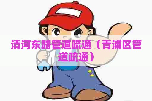 清河东路管道疏通（青浦区管道疏通）