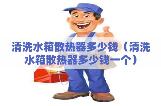 清洗水箱散热器多少钱（清洗水箱散热器多少钱一个）