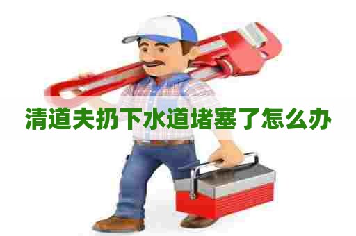 清道夫扔下水道堵塞了怎么办