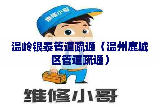 温岭银泰管道疏通（温州鹿城区管道疏通）