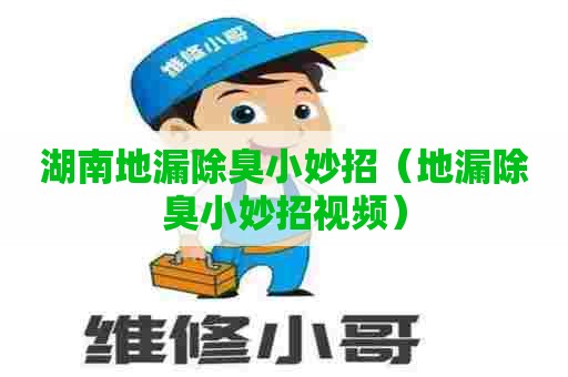 湖南地漏除臭小妙招（地漏除臭小妙招视频）