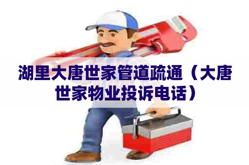 湖里大唐世家管道疏通（大唐世家物业投诉电话）
