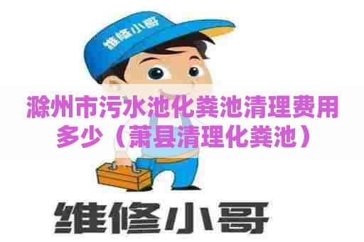 滁州市污水池化粪池清理费用多少（萧县清理化粪池）