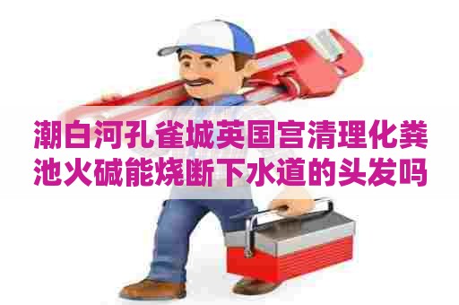 潮白河孔雀城英国宫清理化粪池火碱能烧断下水道的头发吗-