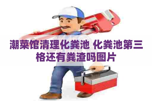 潮菜馆清理化粪池 化粪池第三格还有粪渣吗图片