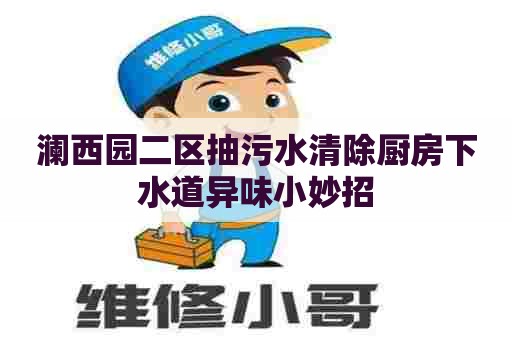澜西园二区抽污水清除厨房下水道异味小妙招 澜西园二区抽污水清除厨房下水道异味小妙招