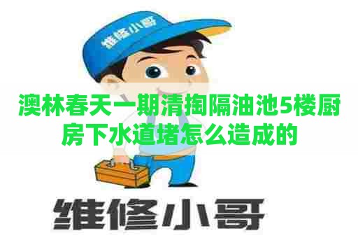 澳林春天一期清掏隔油池5楼厨房下水道堵怎么造成的