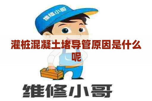 灌桩混凝土堵导管原因是什么呢