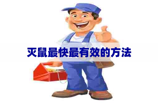 灭鼠最快最有效的方法 灭鼠最快最有效的方法